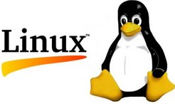 Penyebab Utama Pengguna Baru Tidak Betah Menggunakan Linux