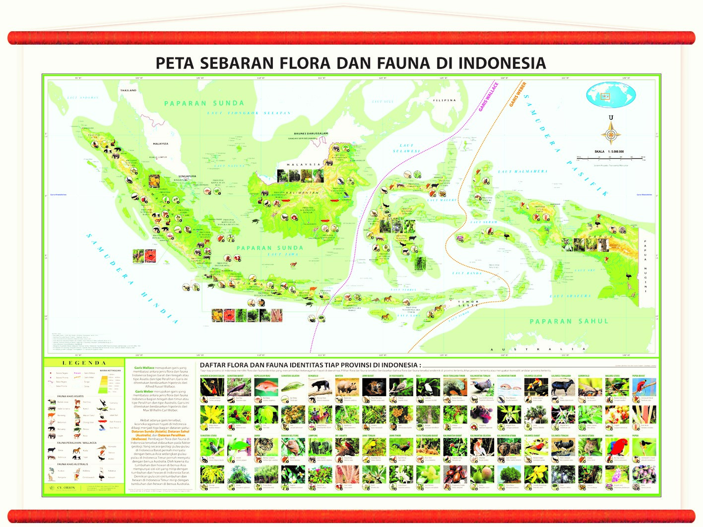 Pembagian Persebaran Flora dan Fauna di Indonesia